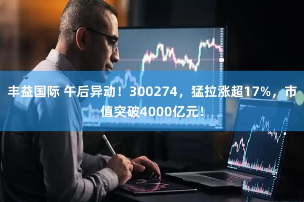 丰益国际 午后异动！300274，猛拉涨超17%，市值突破4000亿元！