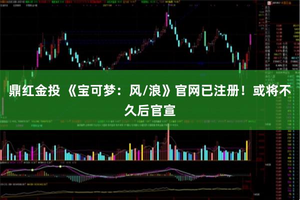 鼎红金投 《宝可梦：风/浪》官网已注册！或将不久后官宣